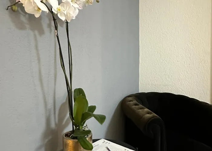 Lindo Apartamento En El Centro De Lausanne